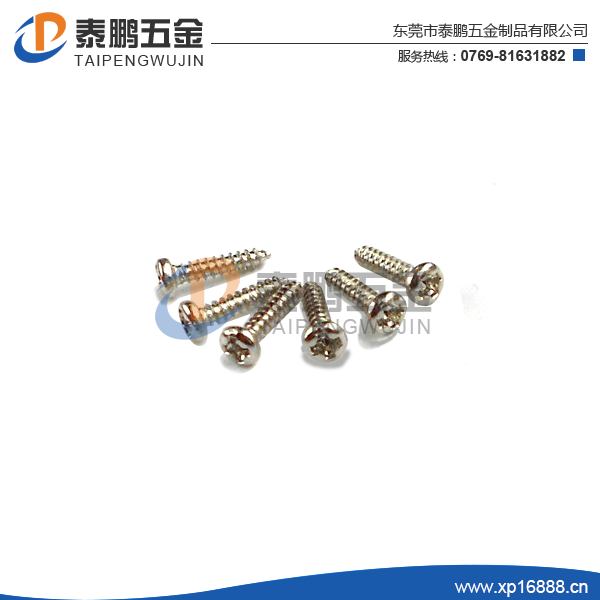 不锈钢自攻螺丝